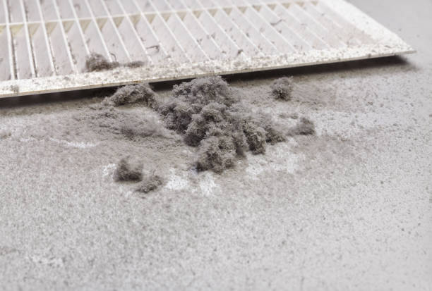 Best HVAC Maintenance and Cleaning  in River Grove, IL