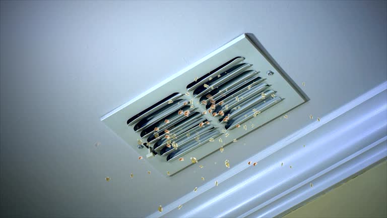Best Affordable Duct Cleaning Services  in River Grove, IL