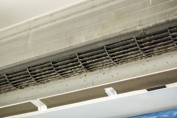 Best Air Duct Cleaning Company Near Me  in River Grove, IL